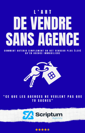 couverture ebook vendre seul